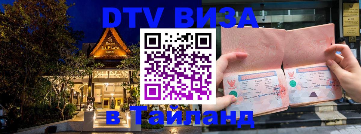 Оформление DTV визы под ключ: стоимость и тарифы, только загранпаспорт - Люберцы  20.11.2025 